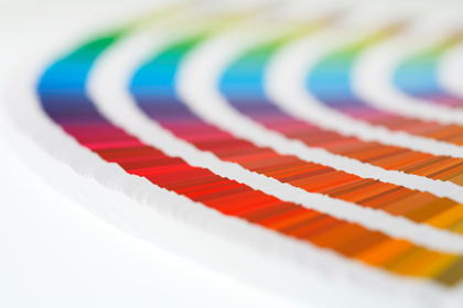Color Consultation